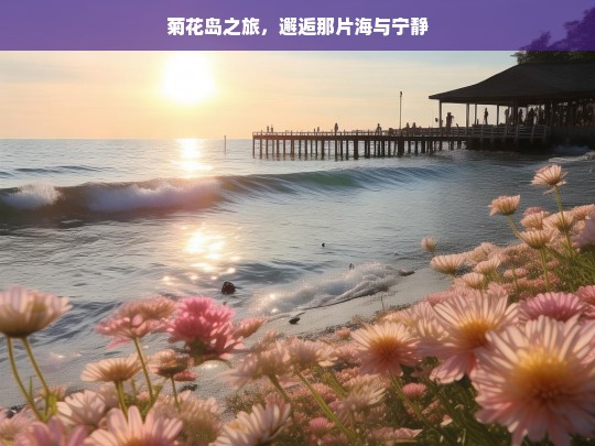 菊花岛之旅，邂逅那片海与宁静