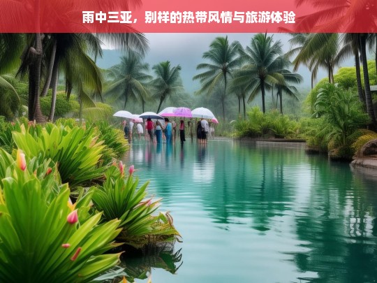 雨中三亚，别样的热带风情与旅游体验