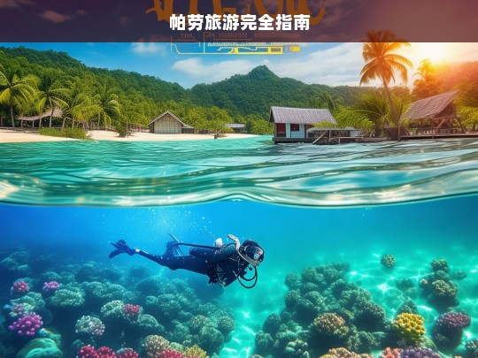 帕劳旅游完全指南