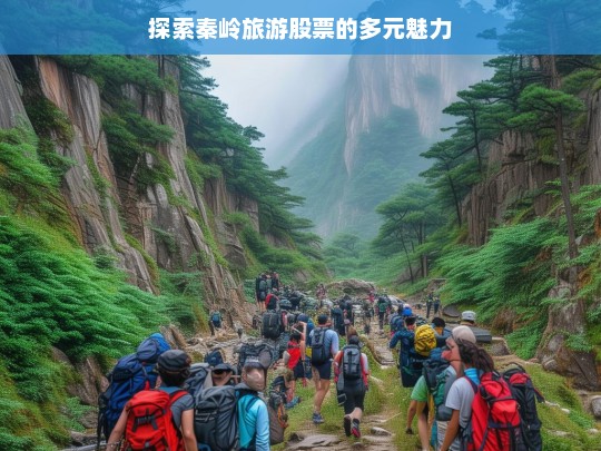 探索秦岭旅游股票的多元魅力