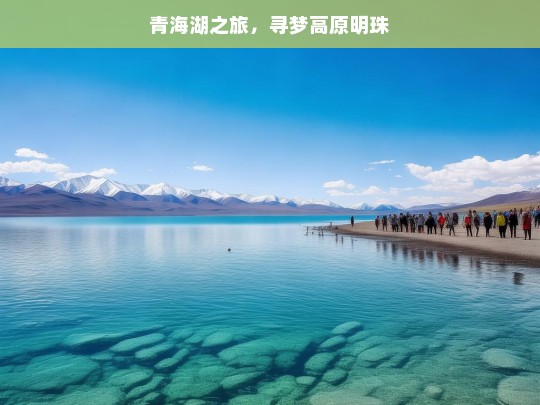 青海湖之旅，寻梦高原明珠