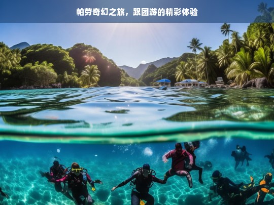 帕劳奇幻之旅，跟团游的精彩体验