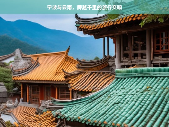 宁波与云南，跨越千里的旅行交响