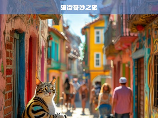 猫街奇妙之旅