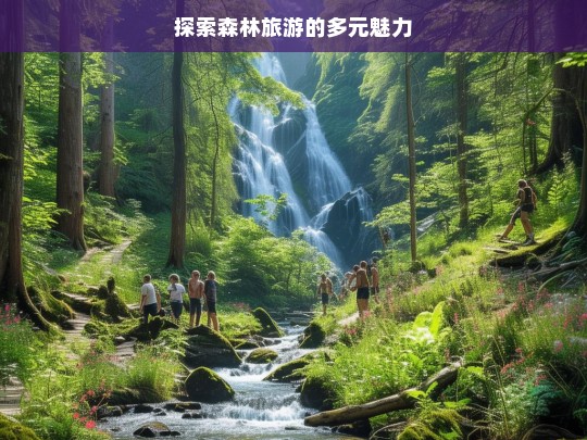 探索森林旅游的多元魅力