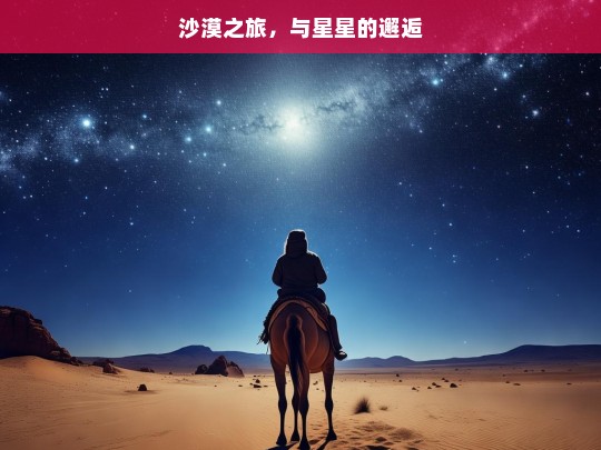 沙漠之旅，与星星的邂逅