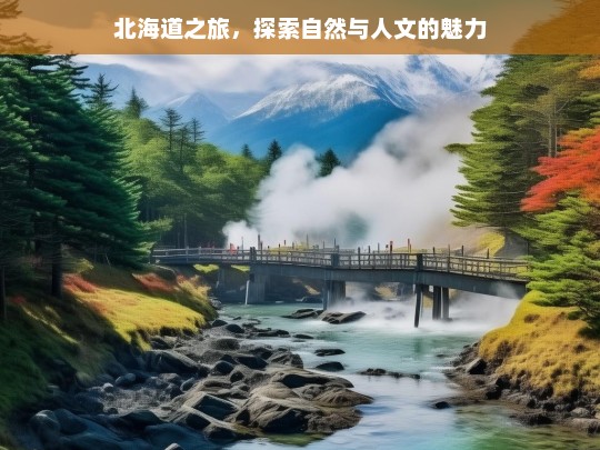 北海道之旅，探索自然与人文的魅力