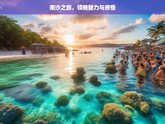 南沙之旅，领略魅力与感悟