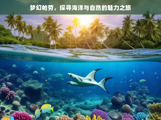 梦幻帕劳，探寻海洋与自然的魅力之旅