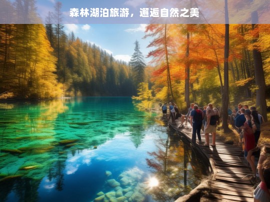 森林湖泊旅游，邂逅自然之美