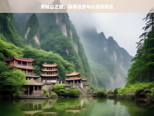 青城山之旅，探寻自然与心灵的契合