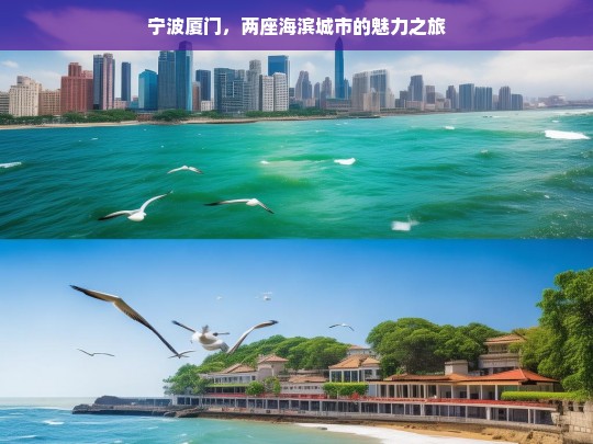 宁波厦门，两座海滨城市的魅力之旅