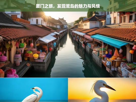 厦门之旅，发现鹭岛的魅力与风情