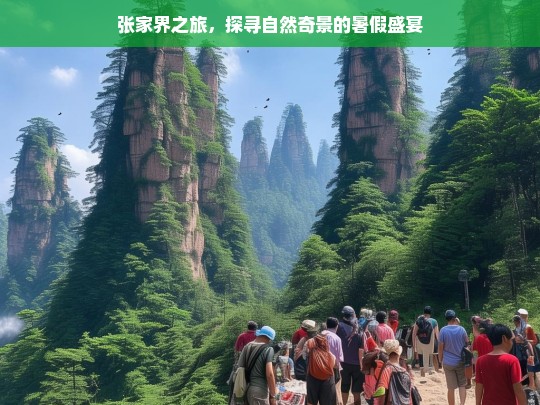 张家界之旅，探寻自然奇景的暑假盛宴