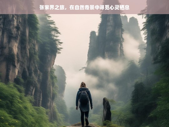 张家界之旅，在自然奇景中寻觅心灵栖息