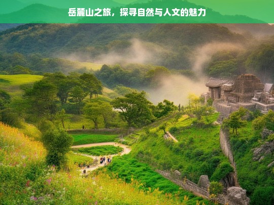 岳麓山之旅，探寻自然与人文的魅力