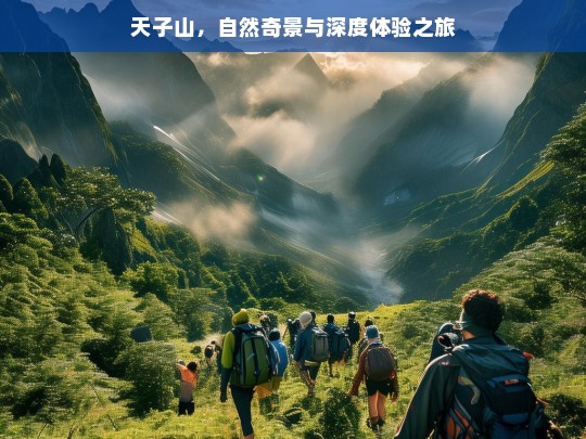 天子山，自然奇景与深度体验之旅