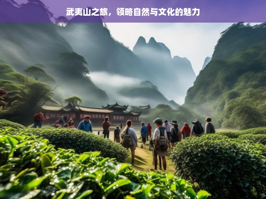 武夷山之旅，领略自然与文化的魅力